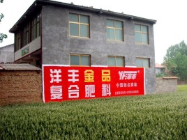 龙港如何让墙体广告展现最大化效果