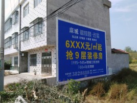 龙港墙体广告质量分析