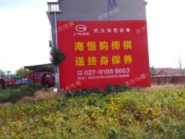 龙港农村墙体广告给农村人民带来方便