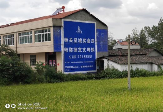 龙港决定墙体广告价格的因素有哪些?