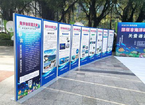 龙港KT板的种类和知识。